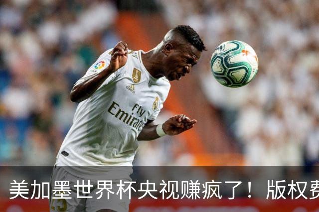 美加墨世界杯央视赚疯了！版权费仅6000万美元，收入或破80亿大关